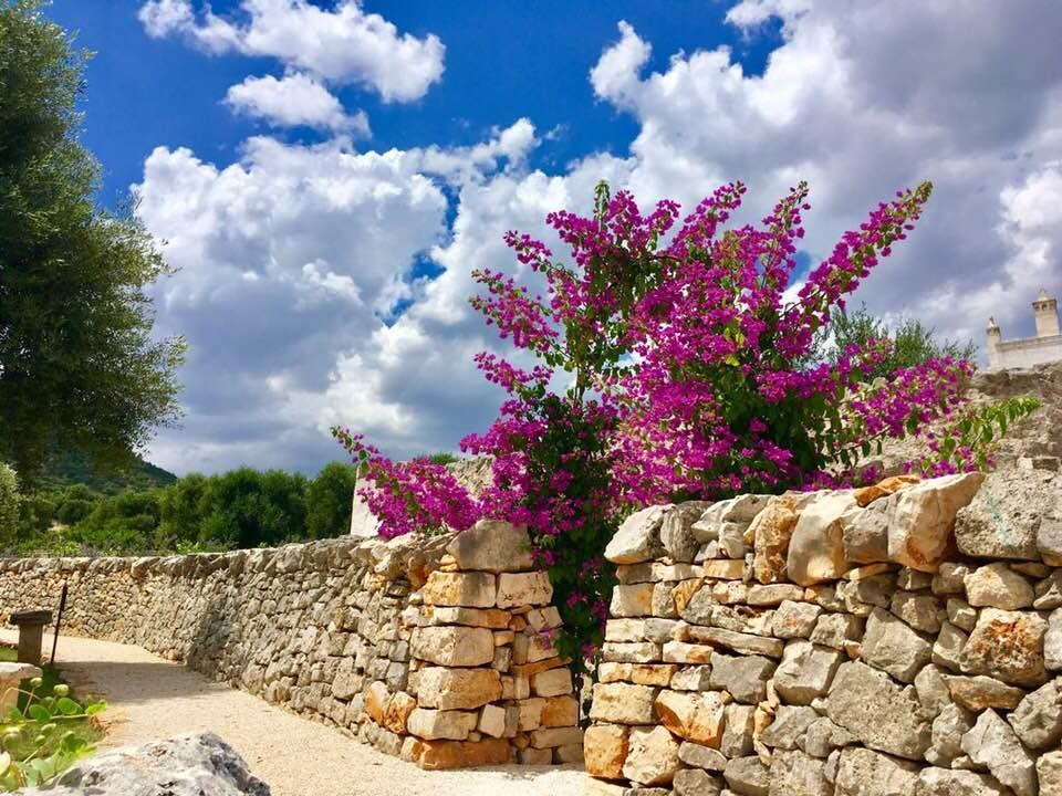 Masseria Parco Della Grava *